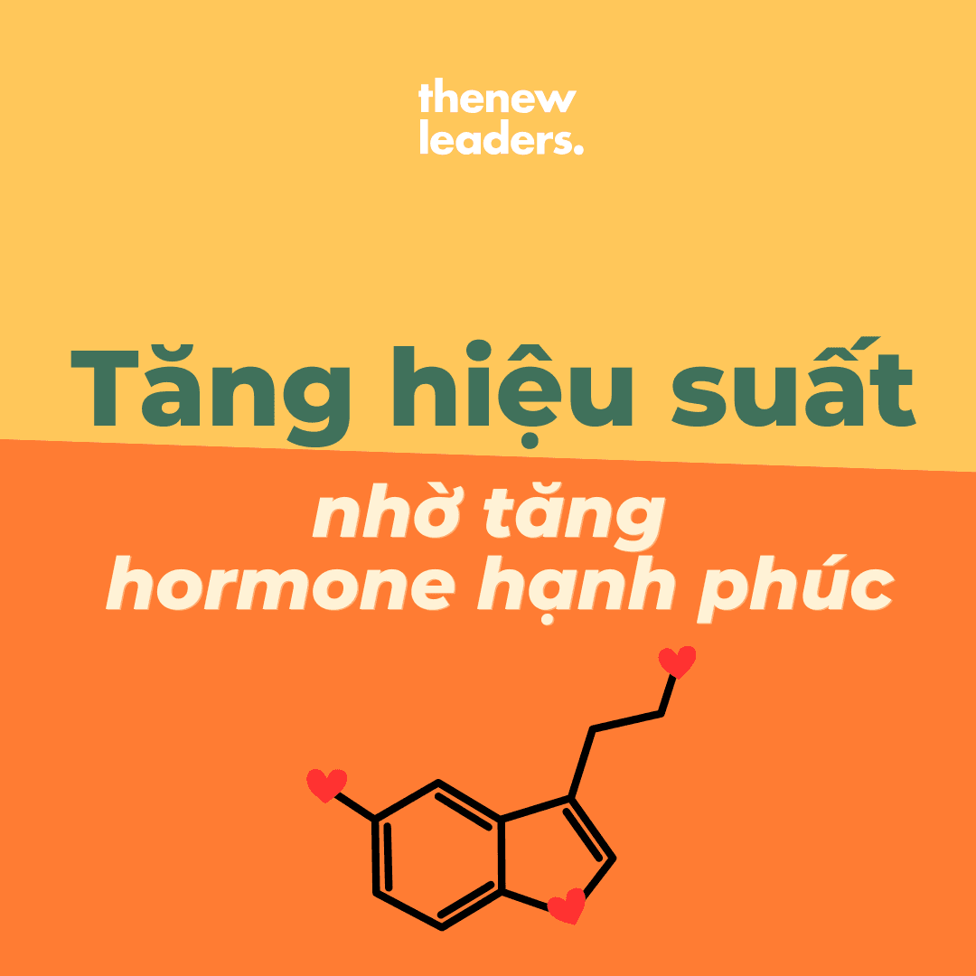 Hiệu suất đội ngũ không chỉ đến từ KPI — mà đến từ cảm xúc