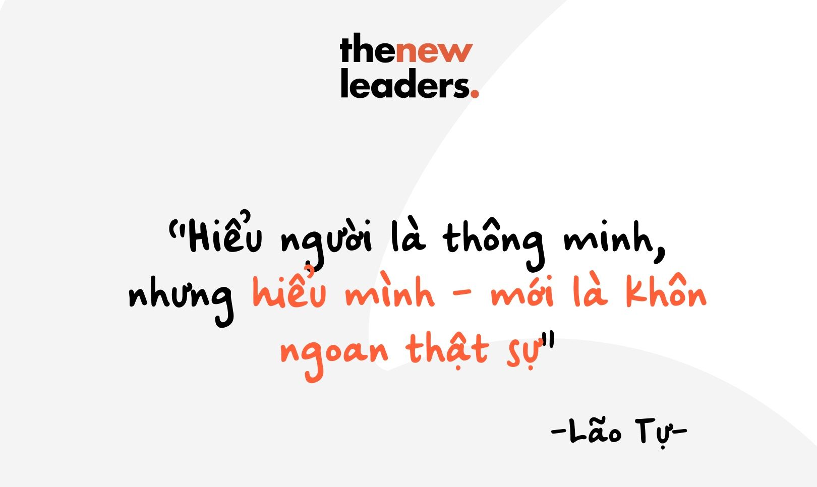How much do you think your team can understand you?